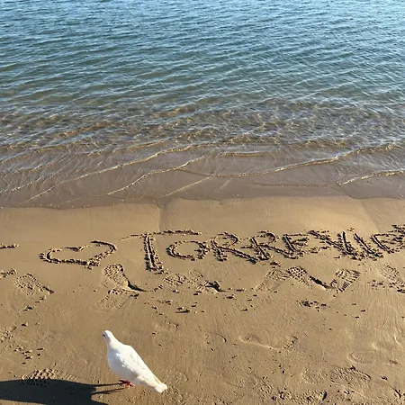 Casa Carino * 또레비에하