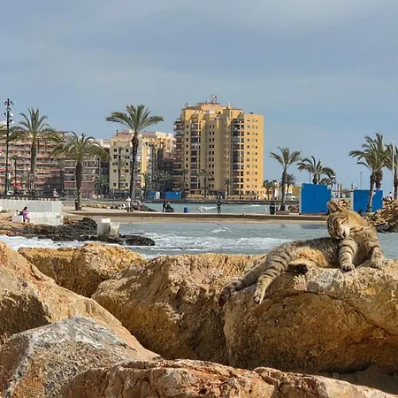 Casa Cariño Apartamento Torrevieja